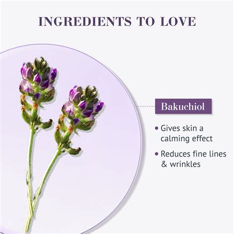 Bakuchiol Age Defying Toner – Good Vibes