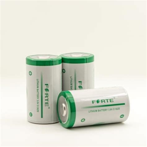 Forte ER34615 Lithium Thionyl Chloride Battery, 3.6V, D Size : Amazon ...
