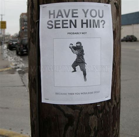 Image result for Fun Signs