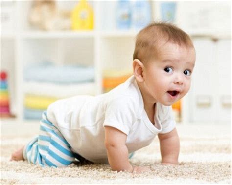 宝宝9个月_宝宝9个月发育指标_能力解析_宝宝九个月如何护理 - 宝宝身体发育 - 第一宝宝育儿网