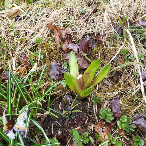 St. John's, Newfoundland and Labrador