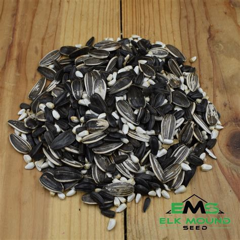 Cardinal Wild Birdseed Mix, premium bird seed blend, black oil ...