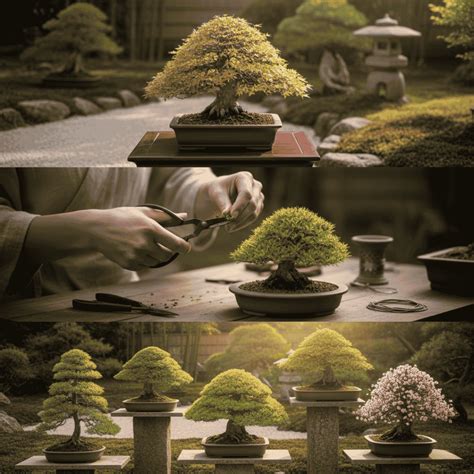 Image result for Bonsai Making Tutorial