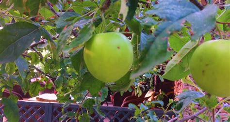 Image result for Code.org How Lesson 16 Part 7
