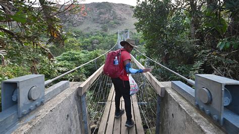 Deadlihoods to livelihoods | Meer