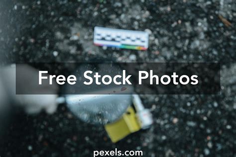 Evidence Card 的图像结果