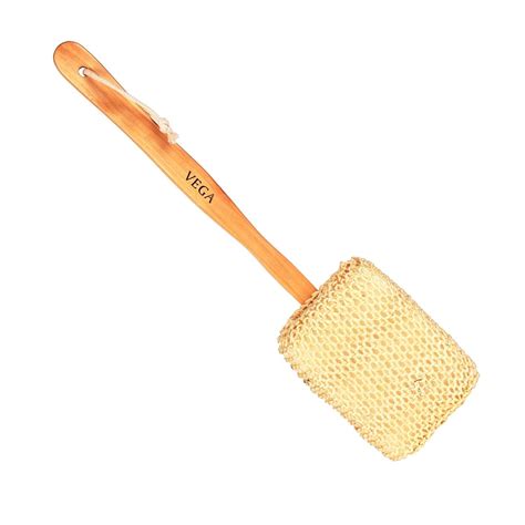 Buy Vega Sisal Sponge Bath Brush Online at Low Prices in India - Amazon.in