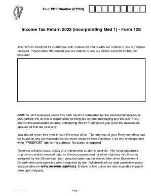 Fillable Online Filing a Form 12 (Income Tax Return) in IrelandStep By ...