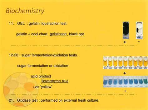Image result for API Reagent Kit