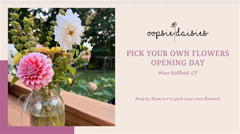 Opening Day: Pick Your Own Flowers, 639 North Grand Street, West ...