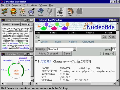 GenBank File 的图像结果