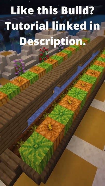 Image result for Minecraft Desert Base Minecraft Tutorial