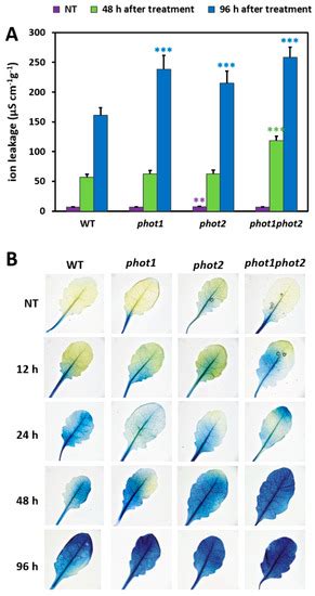 Phototropin 1 and 2 Influence Photosynthesis, UV-C Induced ...