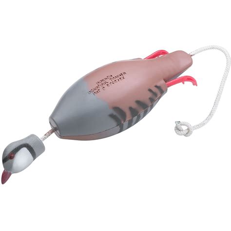 Teal Launcher Dummy DeadFowl Greenwing Teal Training Dummy - Dokken ...