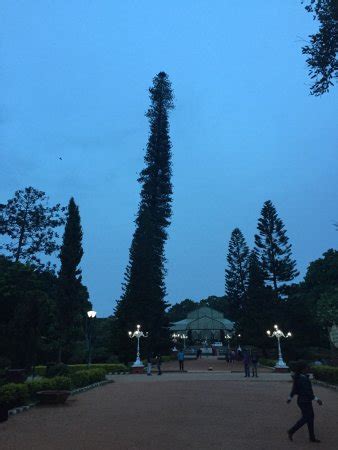 Lalbagh Botanical Garden (Bengaluru) - What to Know Before You Go (with ...