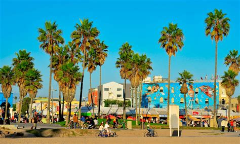 The 15 Best Things to do in Venice Beach, CA – Wandering Wheatleys