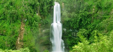 Gorgeous Waterfalls of India | Holidaymine