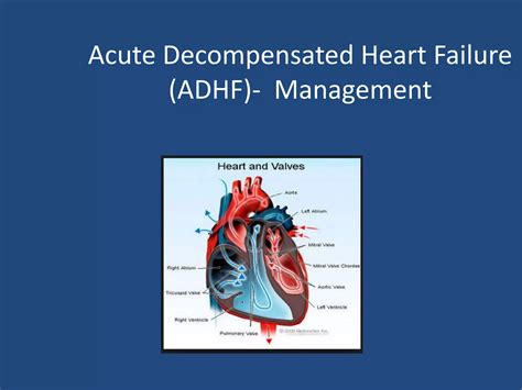 Adhf Medical Abbreviation