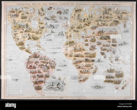 Geographic Distribution Of Animals
