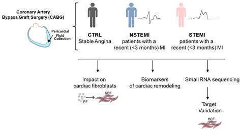 Pericardial Fluid Accumulates microRNAs That Regulate Heart Fibrosis ...