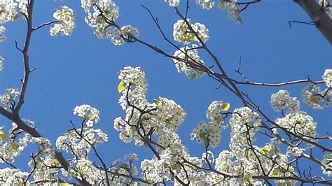 Exploration of Emptiness, Online event, Sacramento, California, 7 ...