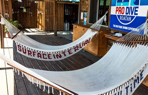 PRO DIVE ROATAN (2026) All You Need to Know BEFORE You Go (w/ Reviews ...