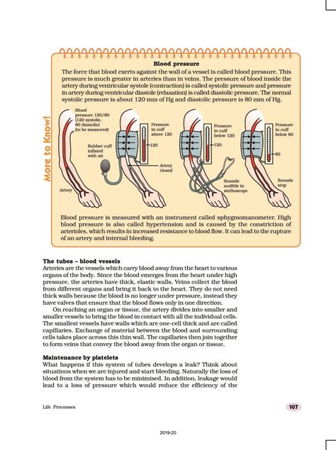 Image result for Class 10 Chapter 6 Science
