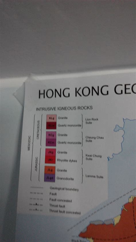 Image result for Fossil Formation Process Map