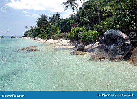 Tioman Island, Malaysia stock image. Image of palm, island - 14606577