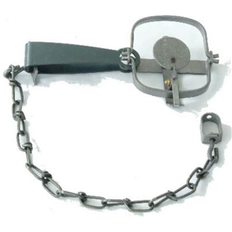 Image result for Spring Trap Origin