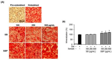 Sword Bean (Canavalia gladiata) Pods Induce Differentiation in MC3T3-E1 ...