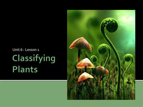 Image result for CLIL Lesson On Classifying Plants