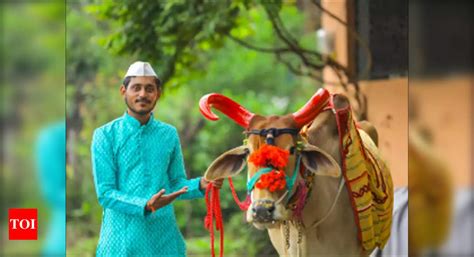 Bail Pola 2022 today, know auspicious time and significance | - The ...