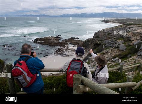 People Standing Viewing 的图像结果