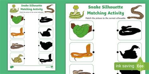 Snake Silhouette Matching Activity (teacher made) - Twinkl