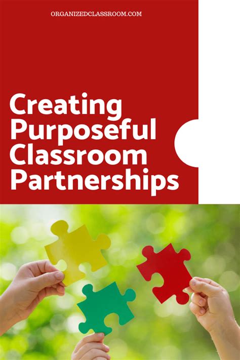 Partner Learning Examples 的图像结果