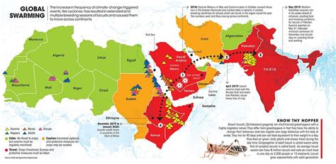 Locust attack: Global swarming