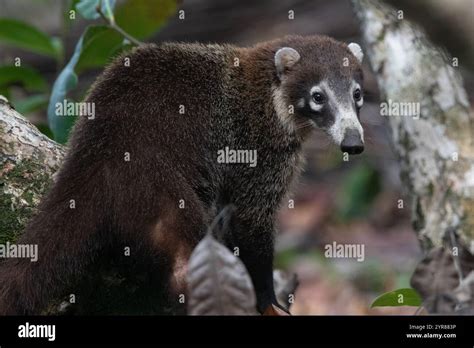 Image result for Summing and Filtering Patterns Python