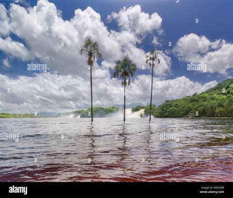 Orinoco River Stock Photos & Orinoco River Stock Images - Alamy