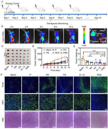 Chimeric Peptide Engineered Nanomedicine for Synergistic Suppression of ...