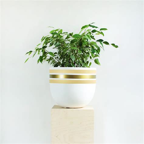 Stripe Tease Planter – Saajawat