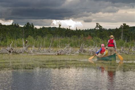 Canoeing 的图像结果