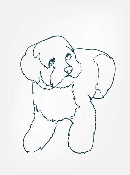 Image result for Cockapoo Stylised Drawing