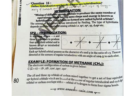 Image result for Hybridization Examples