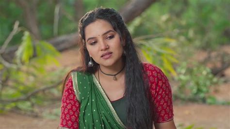 Vasudha TV Serial Online - Watch Latest Show Episodes on ZEE5