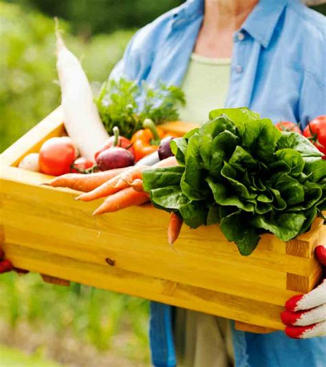 Dhanam vegetables shop, thiruvarur - Order Online