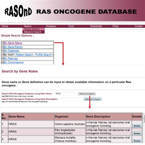 Image result for Query Search Interface