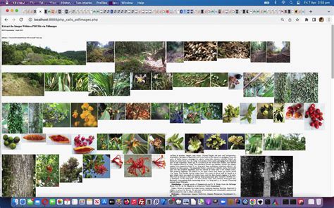 PDF Extraction Tutorial 的图像结果