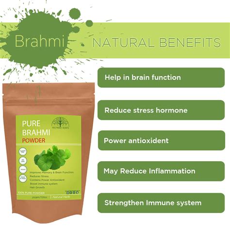 BUY Hollywood Secrets 100% Pure Brahmi Powder (200 Gms)