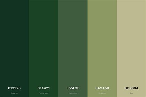 Hunter Green Color Palette | Green colour palette, Green color pallete ...
